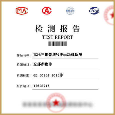 高壓三相籠型異步電動機檢測